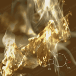 CL-607 Tabac Dodecane (Tobacarol) Van Aroma - TBI