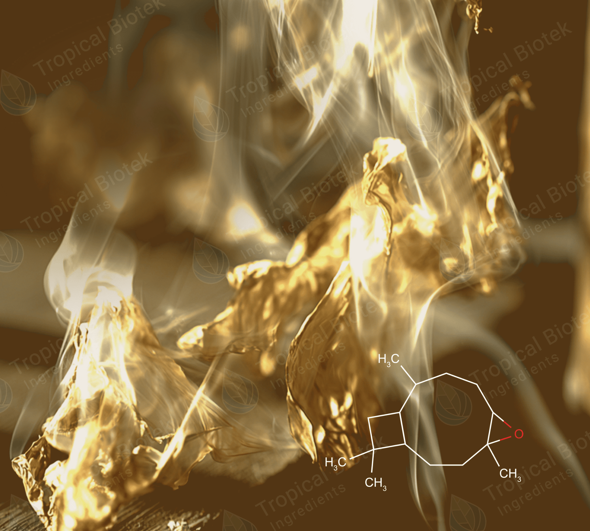 CL-607 Tabac Dodecane (Tobacarol) Van Aroma - TBI