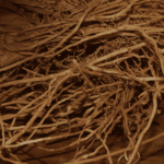 Vetiver Oil Java Rectified Van Aroma - TBI