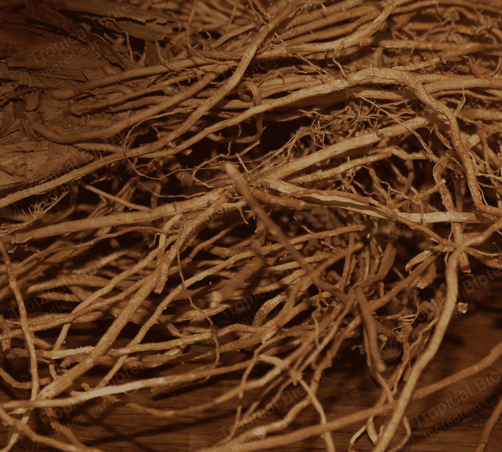 Vetiver Oil Java Rectified Van Aroma - TBI
