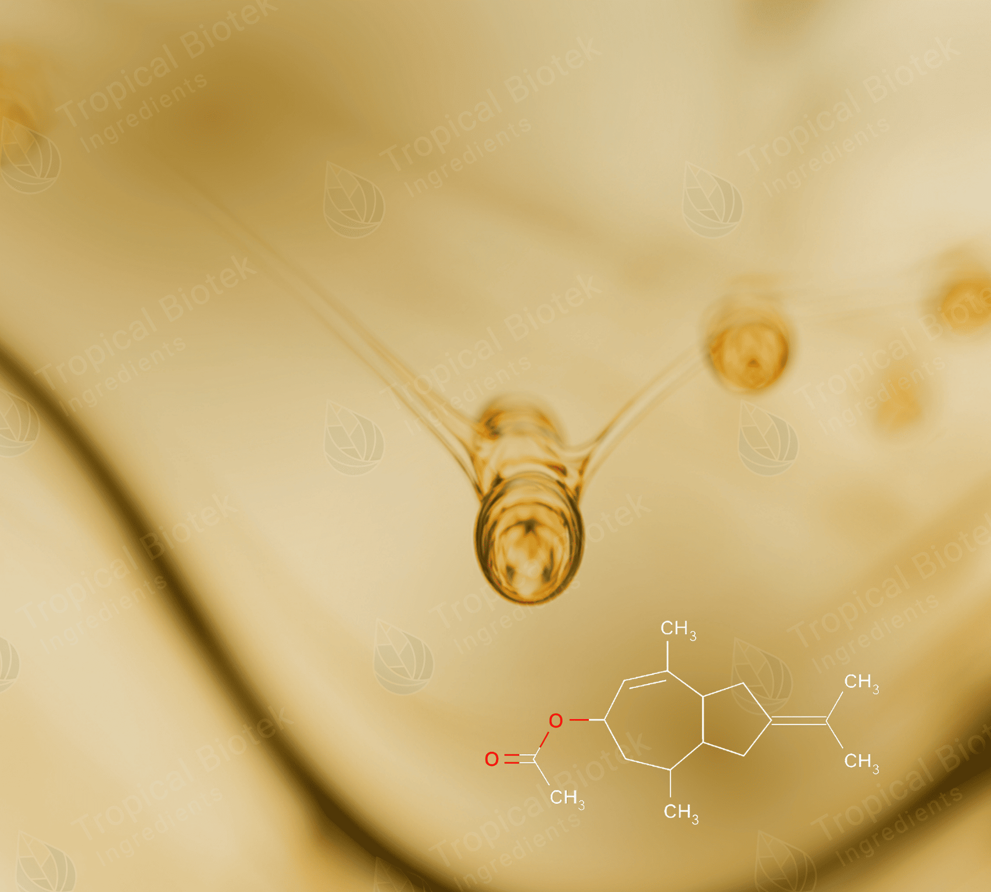 VT-005 Vetiveryl Acetate Van Aroma - TBI