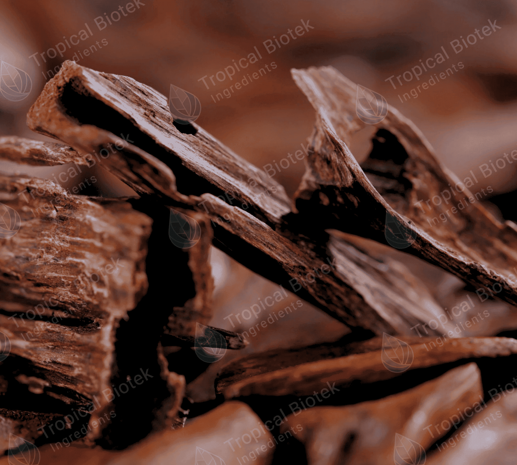 AS-001 White Oudh Oil Van Aroma - TBI