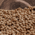 WP-002 White Pepper Oil - Conventional Van Aroma - TBI