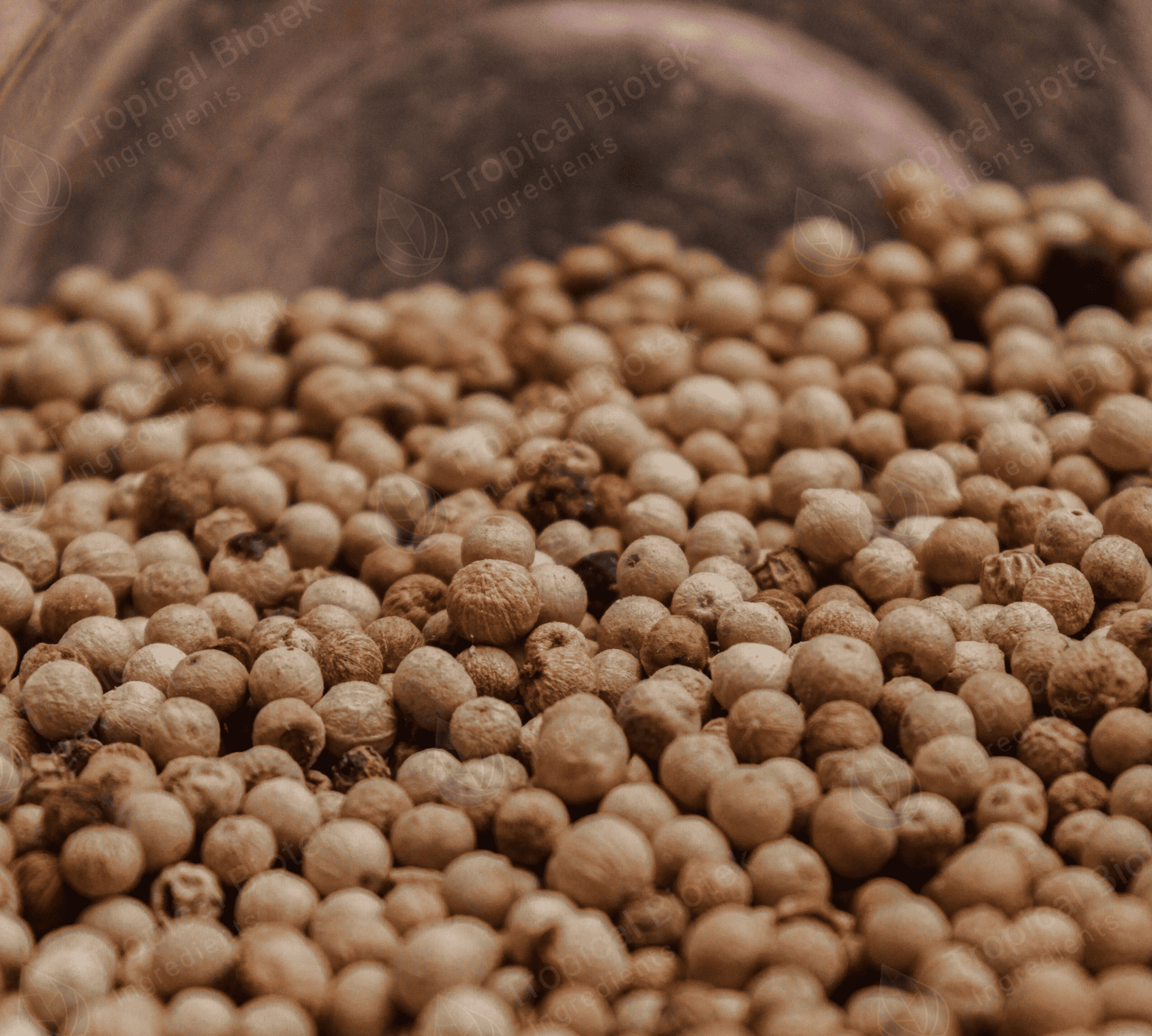 WP-002 White Pepper Oil - Conventional Van Aroma - TBI